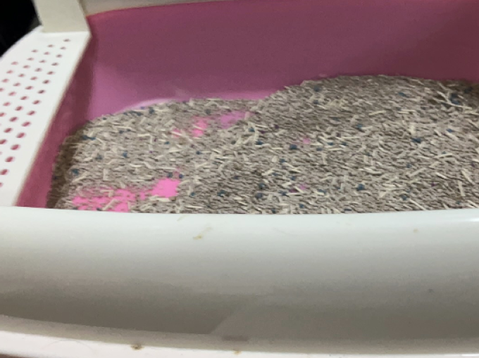 全封闭式猫砂盆