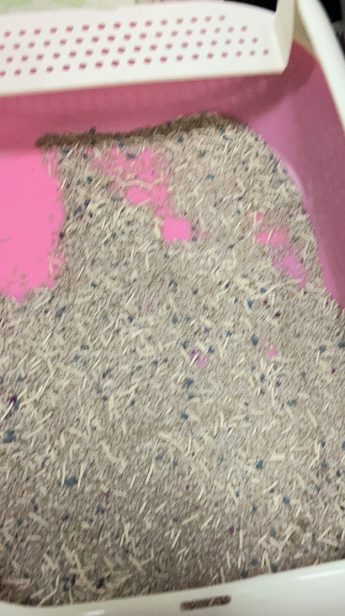 全封闭式猫砂盆