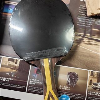 🏓具有纪念意义的球拍，红双喜狂飚九星，专业且出色