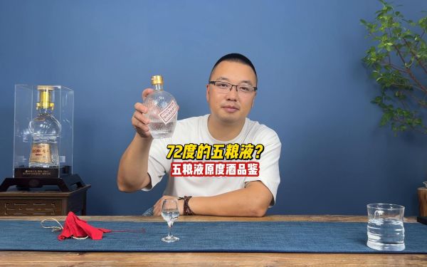 WULIANGYE 五粮液原度酒72%vol 浓香型白酒500ml 单瓶装【报价价格评测