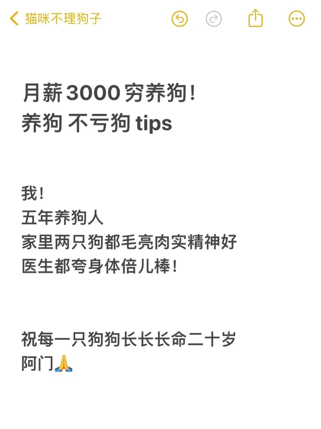 月薪3000穷养狗！养狗不亏狗