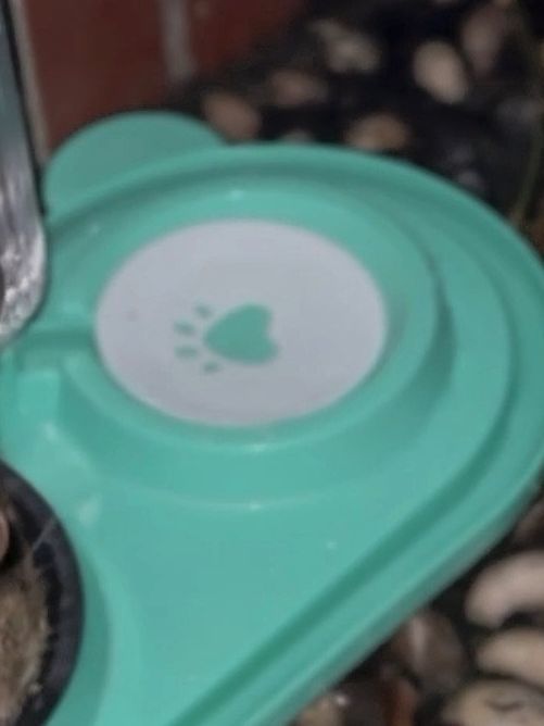 狗狗就餐盆