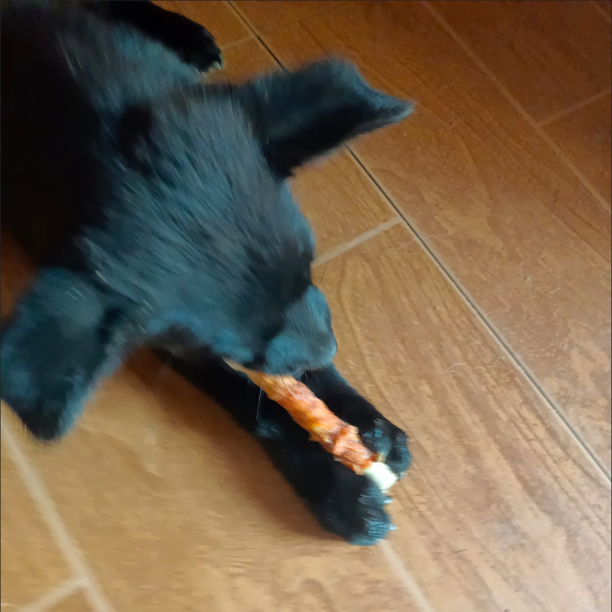 益和狗狗零食