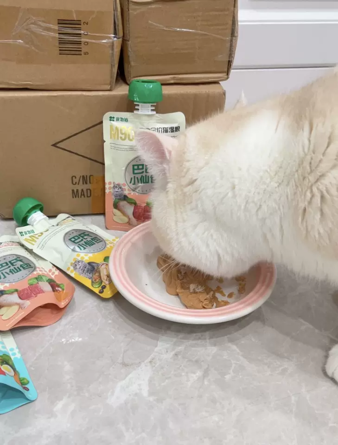 食物链猫咪湿粮/罐头