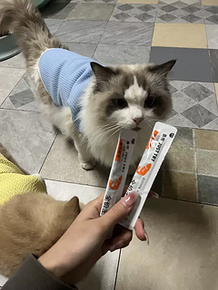 嘉传鱼油猫条