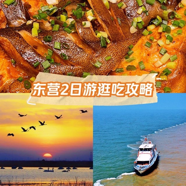 找座小城去赶海，东营2️⃣日游攻略🚘
