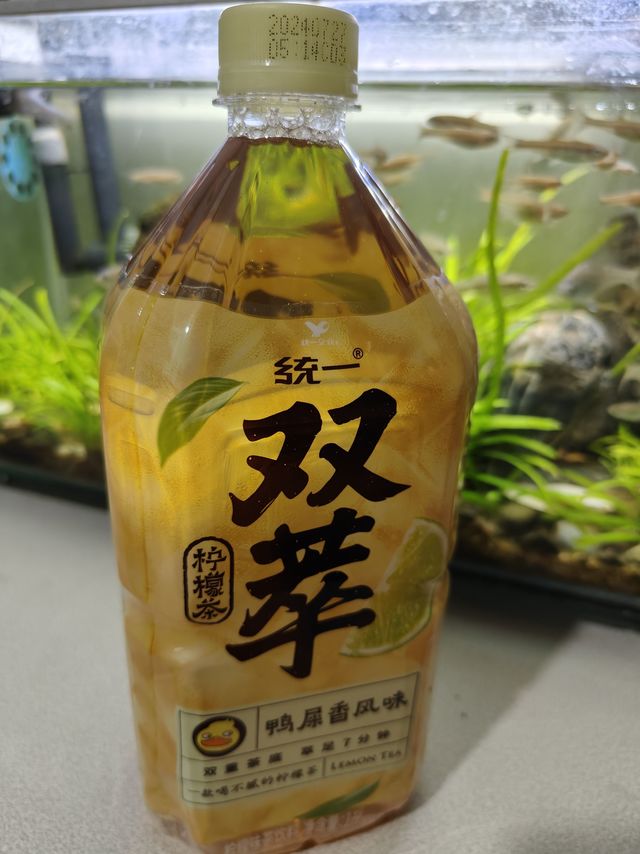 鸭屎的风还是吹到了我这里