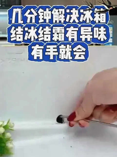 家里的冰箱一定要定时清理！不然容易出问题