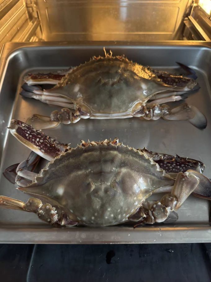 舟山鲜活梭子蟹螃蟹新鲜大白蟹