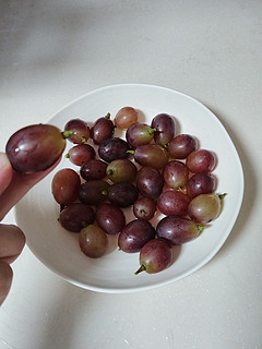 秋风起，买点玫瑰香葡萄🍇尝尝鲜