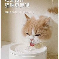 铲屎官必看，让猫咪爱上喝水！