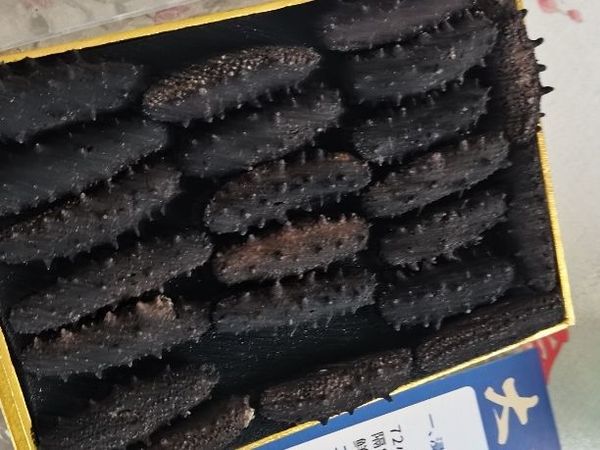 海参