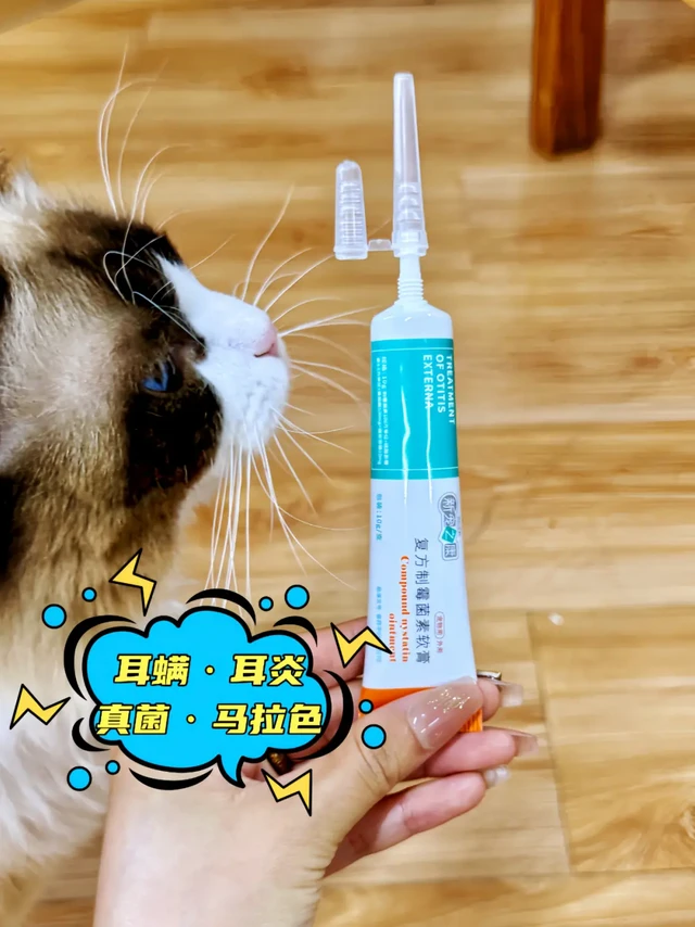 治疗猫猫耳螨天花板！墙力治愈！