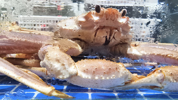 开海啦！看看我们这的海鲜价格 