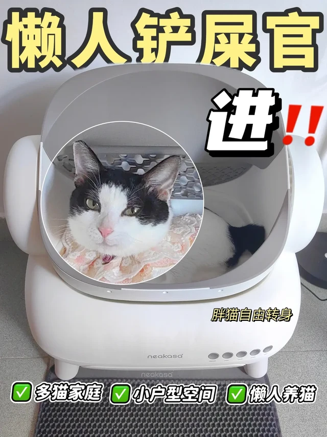 多猫家庭解放双手🙌必备