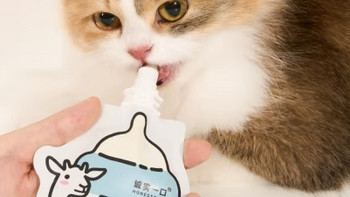 诚实一口奶瓶酱：猫用主食猫粮