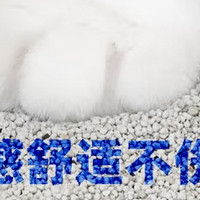 洁客 椰壳活性炭膨润土混合猫砂：为爱猫打造的健康舒适之选