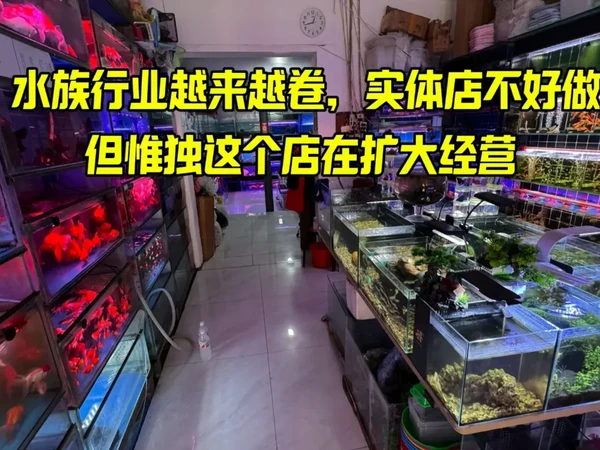 逛完这家水族店，犹如去了趟不要门票的动物