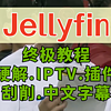 新手必看！Jellyfin终极DIY教程，硬解、IPTV、插件、刮削、中文字幕，海康存储R1部署jellyfin特供版