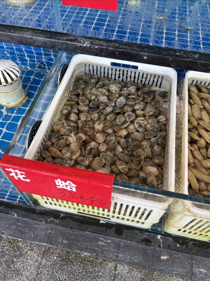 贝司令贝类