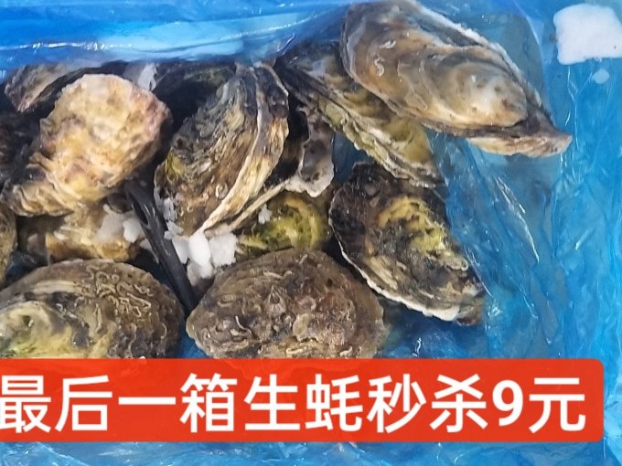 鲜鲜滋谷贝类
