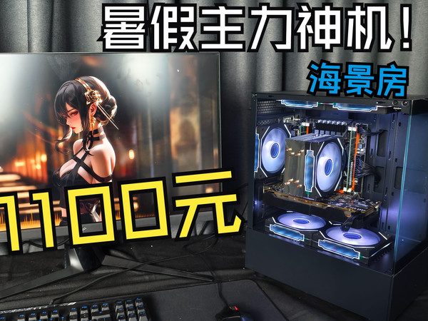 1100元，纯黑海景房，配件均有质保，新手不翻车！畅玩各种主流游戏