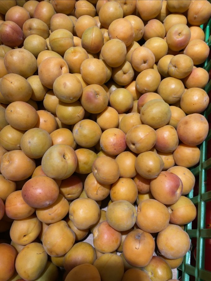 其他水果