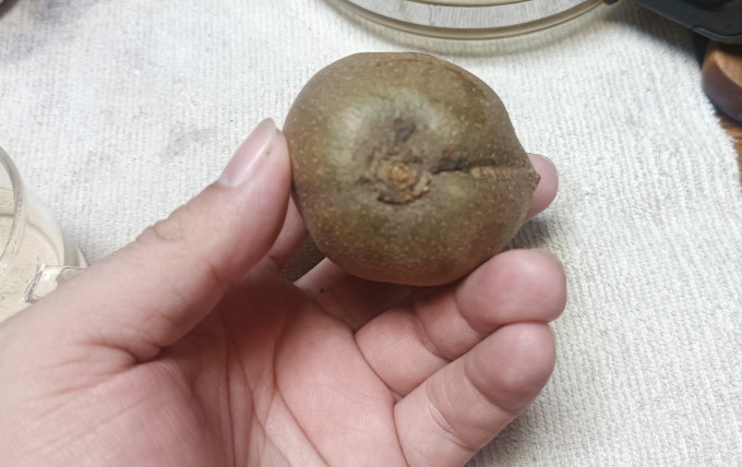 南步新鲜水果