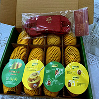 佳沛（Zespri）新西兰阳光金奇异果16粒