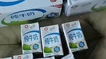 伊利 纯牛奶苗条装 200ml*24盒 优质乳蛋白 营养早餐伴侣 中秋礼盒