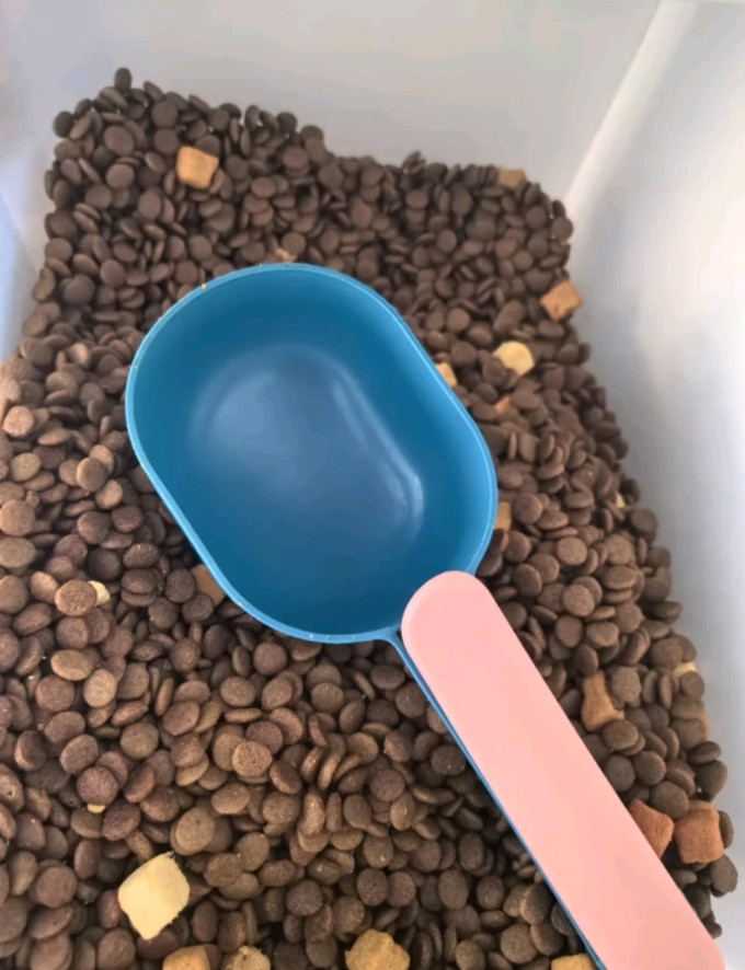 诚实一口狗狗干粮