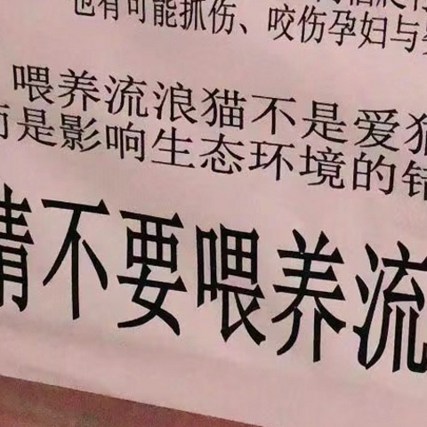 到底要不要喂养流浪小动物