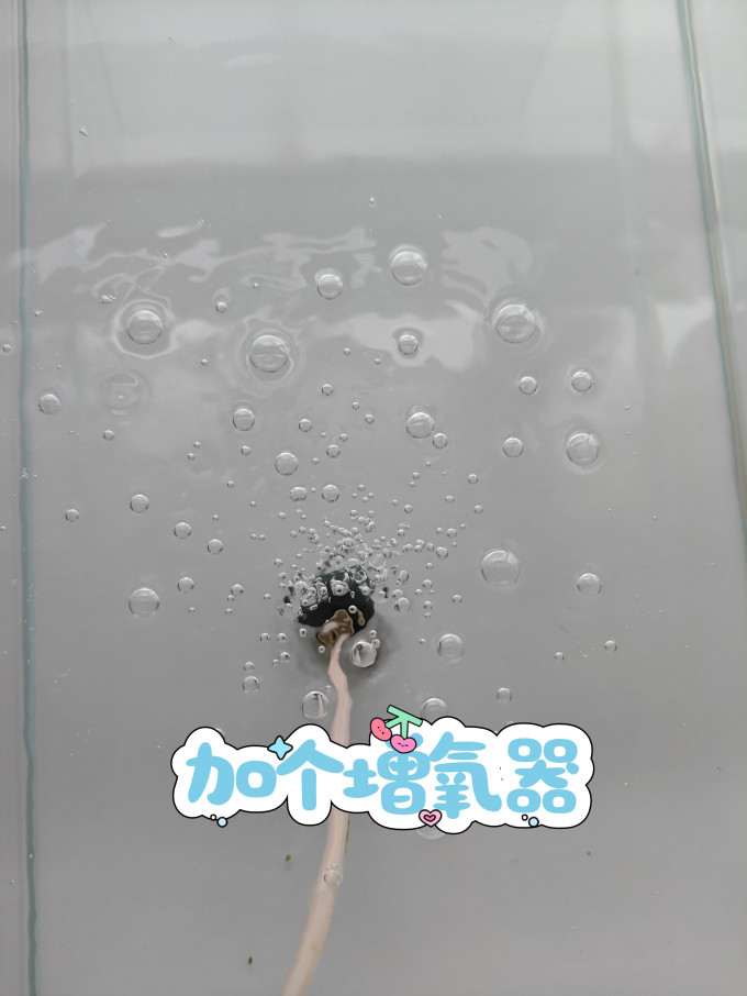 意牌增氧设备