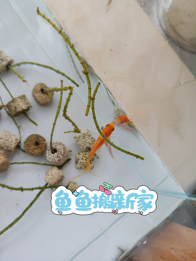 意牌增氧设备