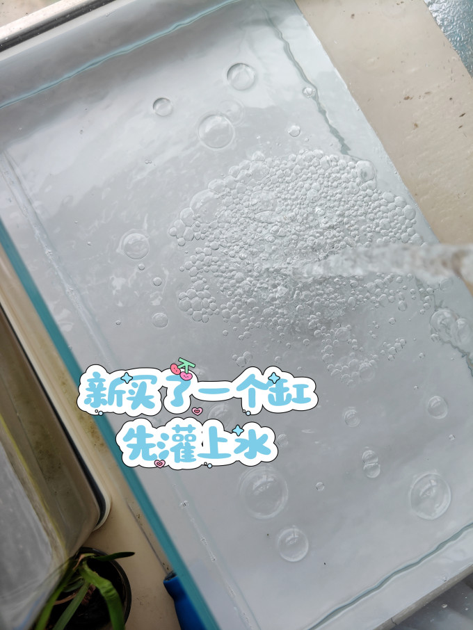 意牌增氧设备