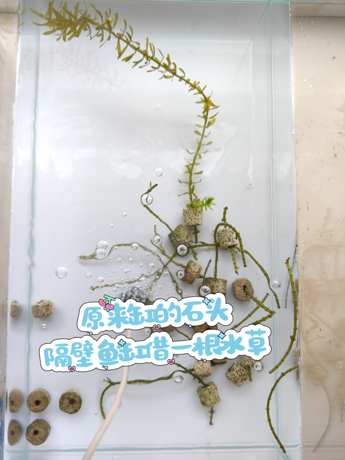 意牌增氧设备
