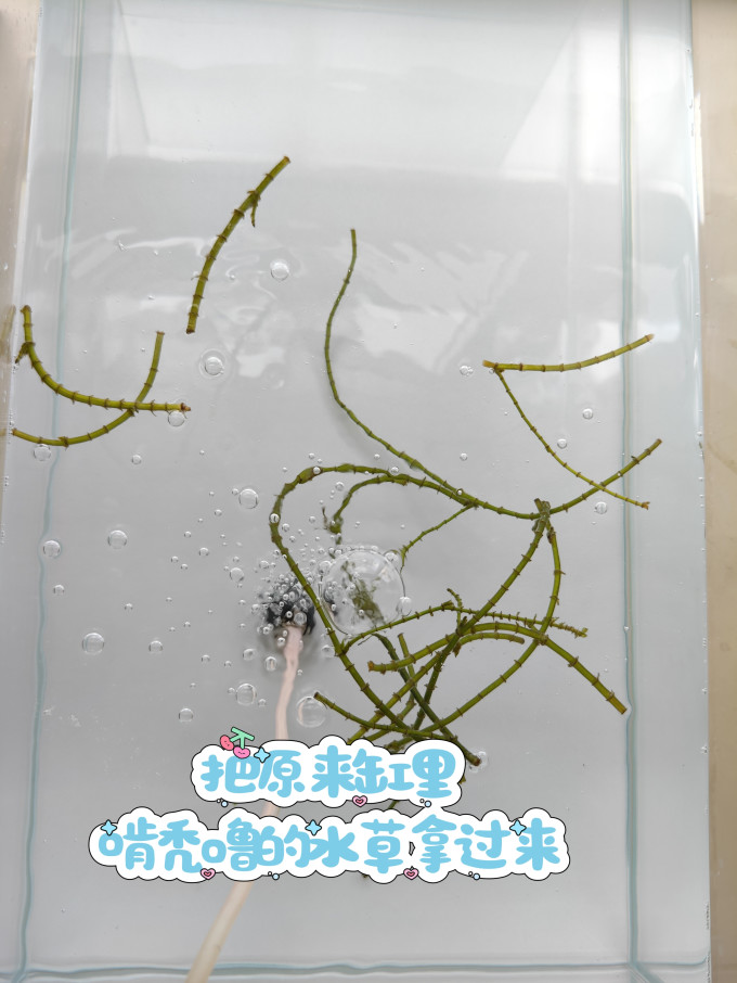 意牌增氧设备