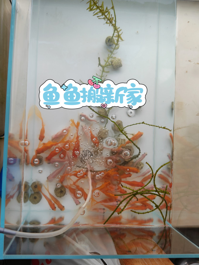 意牌增氧设备