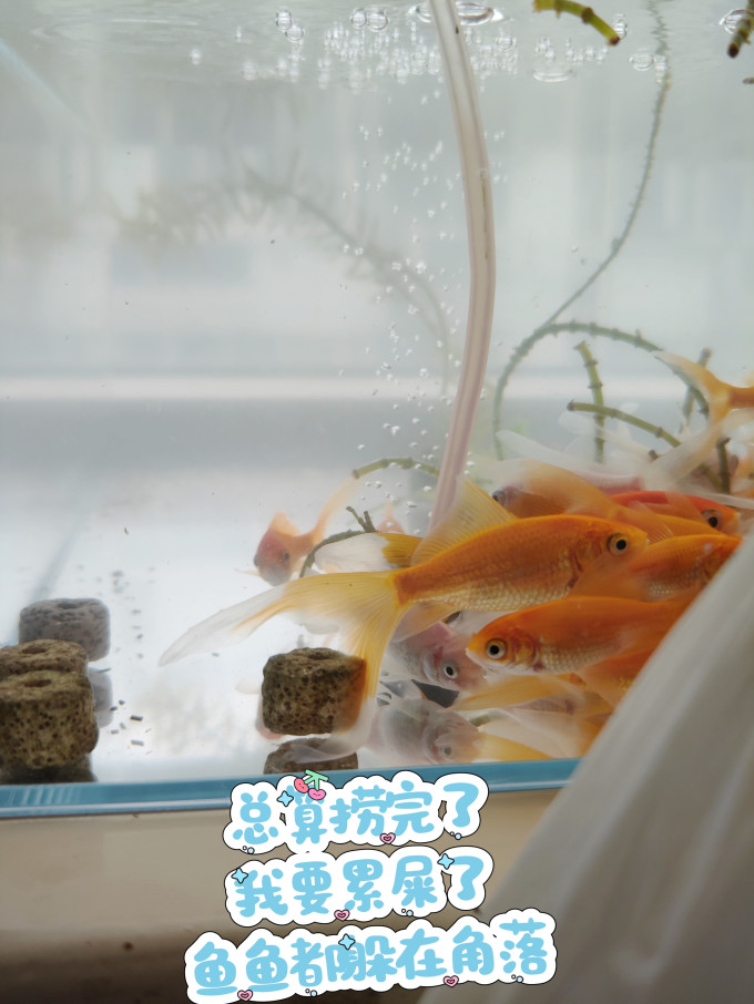 意牌增氧设备