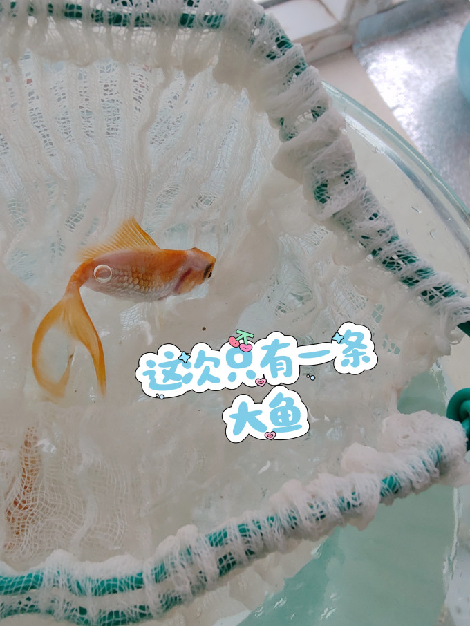 意牌增氧设备
