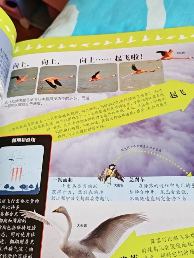 科普读物