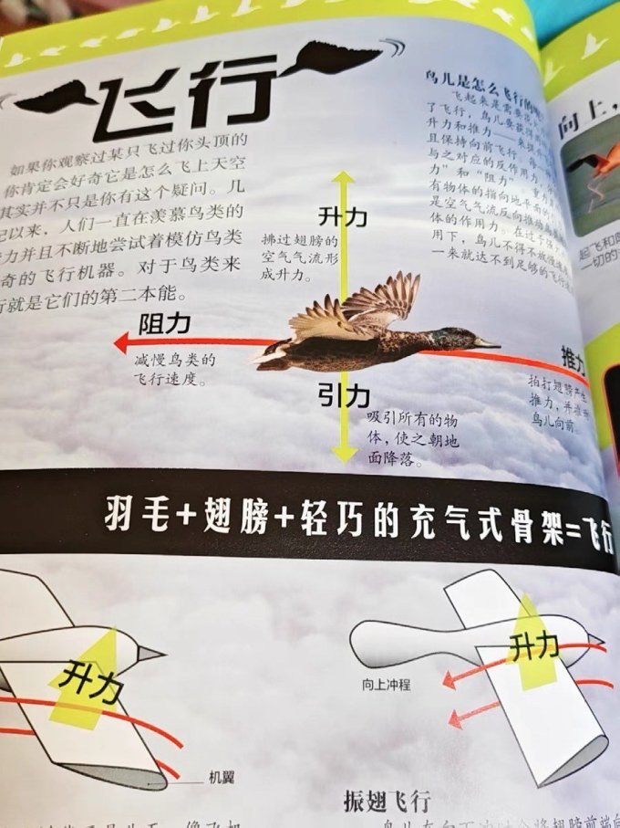 科普读物