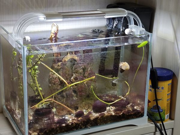 鱼缸灯简单介绍