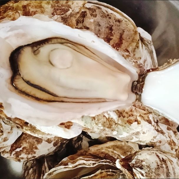 蒜蓉生蚝，美味挡不住！
