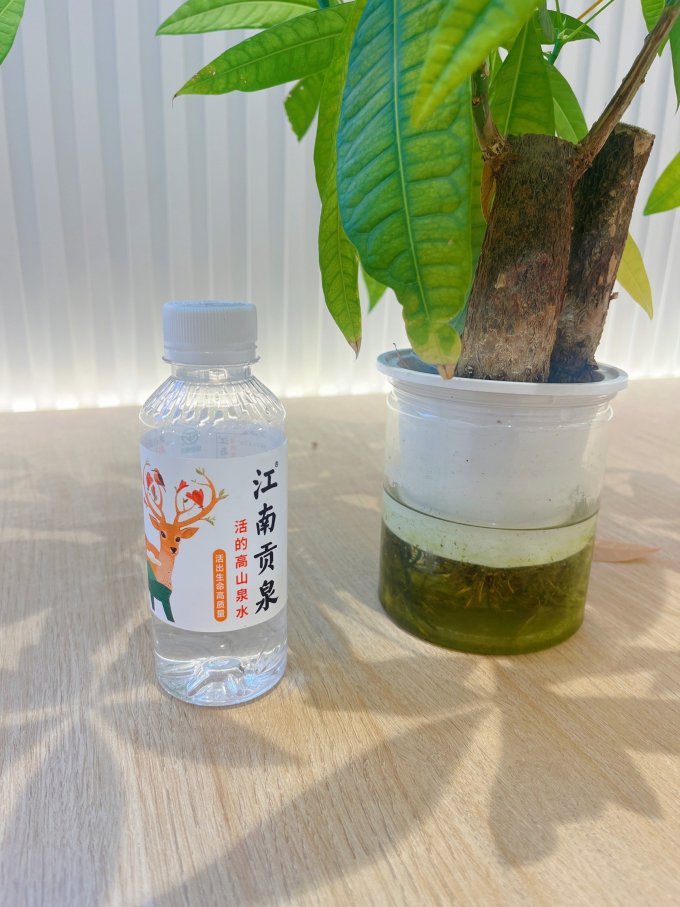 江南贡泉饮用水