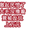 激起民愤了！大毛没撸着，竟被反坑上万元！