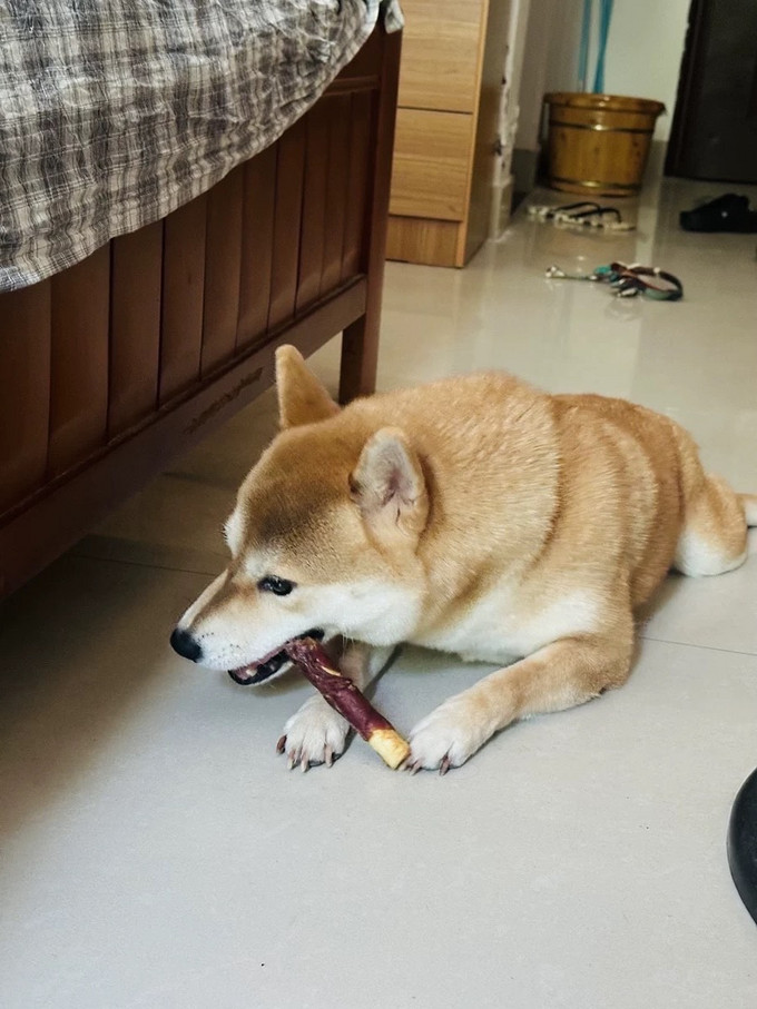 麦富迪猫咪肉质零食