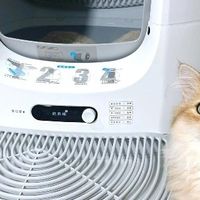 轻养喵自动猫砂盆：上班族养猫的贴心助手
