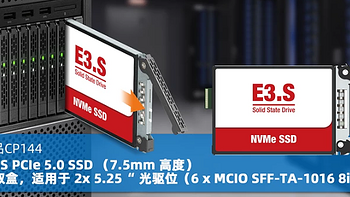 【概念产品 CP144】12盘位 E3.S PCIe 5.0 SSD (7.5mm)硬盘抽取盒，适用于 2x 5.25“ 光驱位