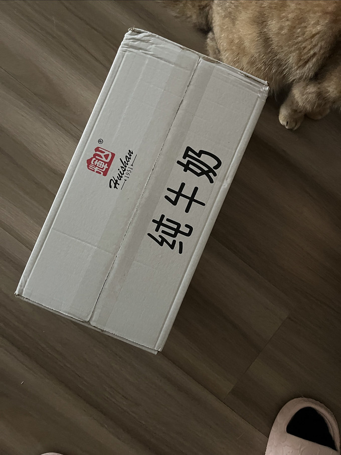 猫玩具